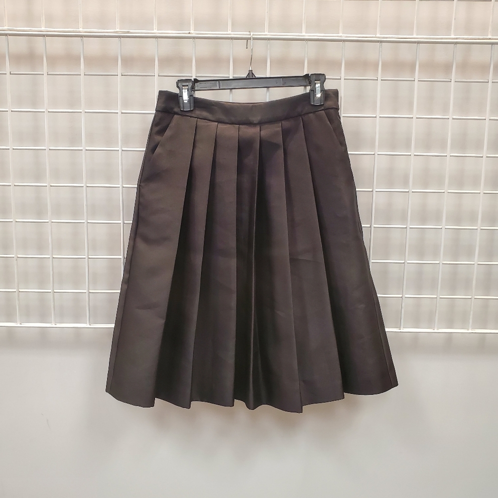 Ann Taylor Skirt